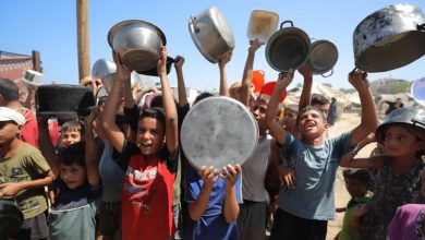 الأطفال غزة