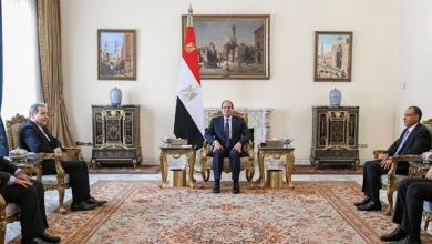 الرئيس المصري استقبل عراقجي اليوم الخميس