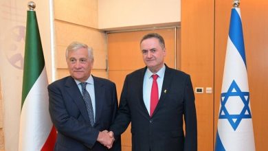 وزير الخارجية الإسرائلي يسرائيل كاتس