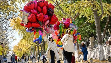 افتتاح مهرجان الدولي للتصوير الفوتوغرافي في جنوب شرقي الصين