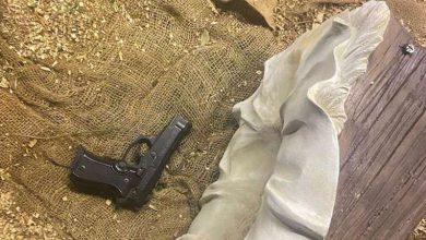 مغارة ميلادية في ساحة فاريا