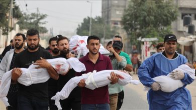 إسرائيل قتلت أكثر من ألف رضيع منذ بدء العدوان في أكتوبر