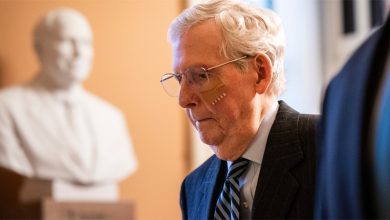 السيناتور ميتش ماكونيل