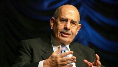 نائب الرئيس المصري السابق والمدير الأسبق للوكالة الدولية للطاقة الذرية، محمد البرادعي