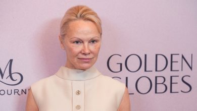 باميلا أندرسون