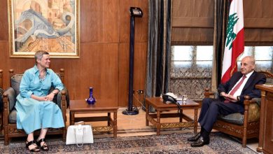 سفيرة الاتحاد الأوروبي تلتقي رئيس مجلس النواب في عين التينة