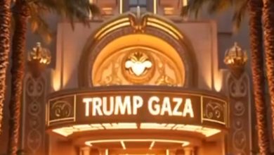 غزة ترامب