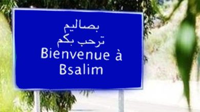 منطقة بصاليم