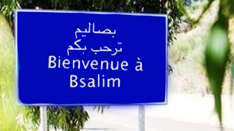 منطقة بصاليم