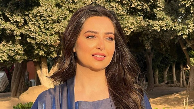 الفنانة المصرية هبة مجدي