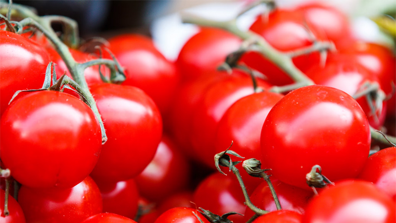 تشكيل هيئة إدارية جديدة لنقابة تجار الخضار والفاكهة في البقاع الأوسط بالتوافق