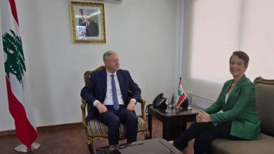 بحث ترسيم الحدود والهجرة بين وزير الخارجية وسفيرة قبرص