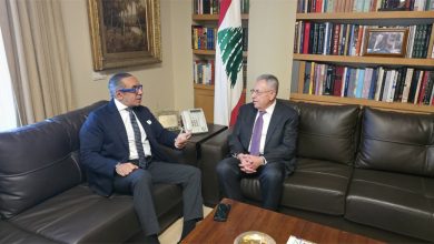 فؤاد السنيورة وسفير جمهورية مصر العربية في لبنان، علاء موسى