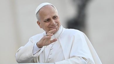 بابا الفاتيكان ليو الرابع عشر