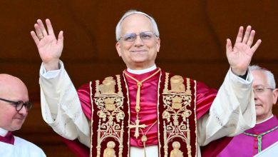 البابا لاون الرابع عشر