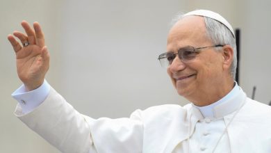 البابا لاوون الرابع عشر