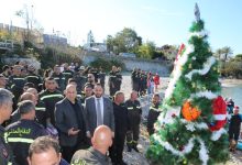 شجرة ميلاد على عمق ٣٠ مترًا في بحر العقيبة