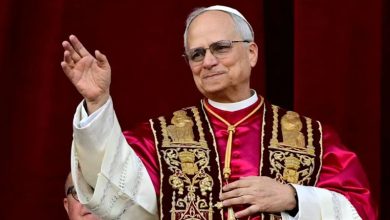 ​البابا لاوون الرابع عشر