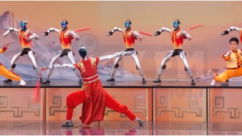 روبوتات الفنون القتالية والاستعراضات البهلوانية