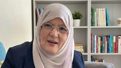 شمس البارودي