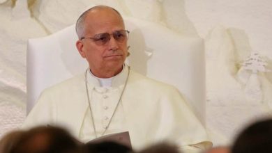 البابا لاوون الرابع عشر