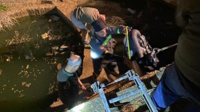 انتشال جثتي طفلين غرقا في بركة زراعية في تعنايل