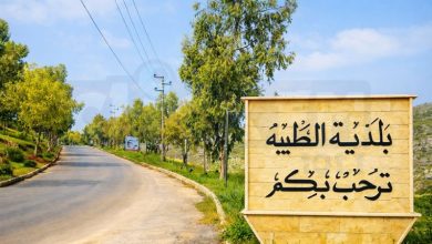 بلدة الطيبة