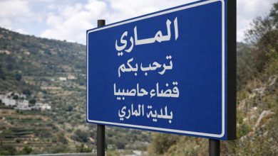 بلدة الماري