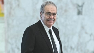 نائب رئيس مجلس الوزراء طارق متري