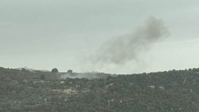 المرتفعات الوسطى لمنطقة البترون