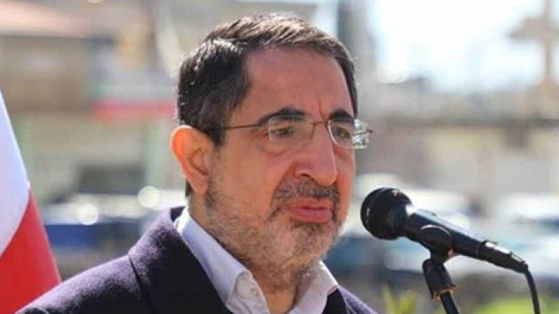 النائب الدكتور حسين الحاج حسن