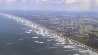 تسونامي في ميناء كوجي