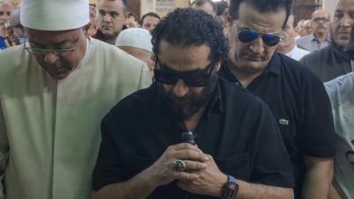 أحمد حلمي