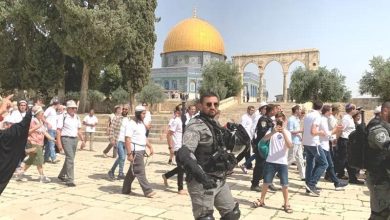 مستعمرون في باحة المسجد الأقصى