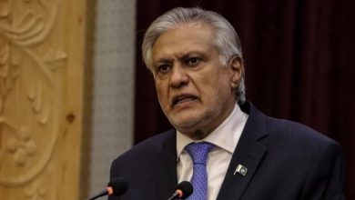 وزير خارجية باكستان محمد إسحاق دار